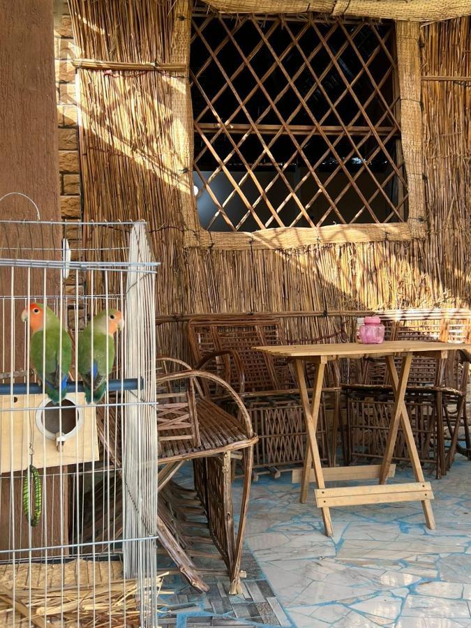 Oasis Camp Ξενοδοχείο Bawati Εξωτερικό φωτογραφία